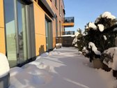 Išnuomojamas šviesus 3 k. butas su didele 30 - nuotraukos Nr. 5