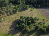 Bendras plotas 2,3802ha, miško paskirties 0 - nuotraukos Nr. 4