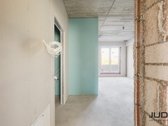 Kviečiame atvykti į „Kauno Dobilą“ ir gyvai - nuotraukos Nr. 13