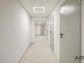 Kviečiame atvykti į „Kauno Dobilą“ ir gyvai - nuotraukos Nr. 10