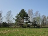 Ieškote vietos savo būstui ar poilsiui gamtos - nuotraukos Nr. 3
