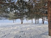 Parduodami 6 išskirtiniai namų valdos sklypai - nuotraukos Nr. 49