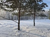 Parduodami 6 išskirtiniai namų valdos sklypai - nuotraukos Nr. 42