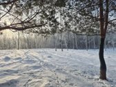 Parduodami 6 išskirtiniai namų valdos sklypai - nuotraukos Nr. 48