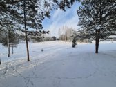 Parduodami 6 išskirtiniai namų valdos sklypai - nuotraukos Nr. 50