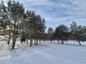 Parduodami 6 išskirtiniai namų valdos sklypai - nuotraukos Nr. 41
