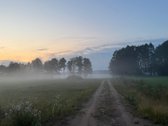 Parduodamas sklypas, sudarytas iš trijų - nuotraukos Nr. 5