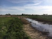 Parduodamas Investicinis Sklypas Su Dideliu - nuotraukos Nr. 6