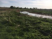Parduodamas Investicinis Sklypas Su Dideliu - nuotraukos Nr. 7