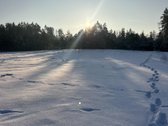 Bendras plotas 2,3802ha, miško paskirties 0 - nuotraukos Nr. 20