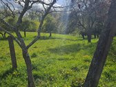 Parduodama Sena Sodyba su žemės sklypais ir - nuotraukos Nr. 3
