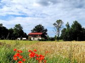 Sveiki, be tarpininkų parduodama nuostabi - nuotraukos Nr. 4