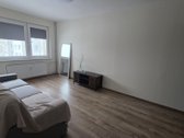 Nuomojamas Šviesus 1 Kambario Butas Po - nuotraukos Nr. 3