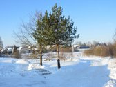 Vilniaus r. sav., Nemėžio sen., Skaidiškių k. - nuotraukos Nr. 3