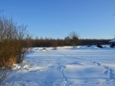 Vilniaus r. sav., Nemėžio sen., Skaidiškių k. - nuotraukos Nr. 14