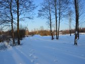 Vilniaus r. sav., Nemėžio sen., Skaidiškių k. - nuotraukos Nr. 18