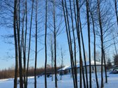 Vilniaus r. sav., Nemėžio sen., Skaidiškių k. - nuotraukos Nr. 25