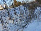 Vilniaus r. sav., Nemėžio sen., Skaidiškių k. - nuotraukos Nr. 23