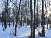 Vilniaus r. sav., Nemėžio sen., Skaidiškių k. - nuotraukos Nr. 12