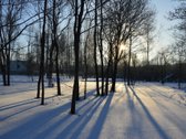 Vilniaus r. sav., Nemėžio sen., Skaidiškių k. - nuotraukos Nr. 2