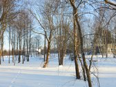Vilniaus r. sav., Nemėžio sen., Skaidiškių k. - nuotraukos Nr. 16