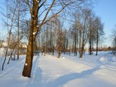 Vilniaus r. sav., Nemėžio sen., Skaidiškių k. - nuotraukos Nr. 18
