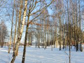 Vilniaus r. sav., Nemėžio sen., Skaidiškių k. - nuotraukos Nr. 6