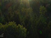 Vilniaus r. sav., Avižienių sen., Pikutiškės, - nuotraukos Nr. 5