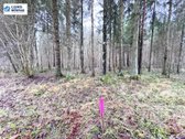 Parduodama sodyba su 10.5 ha sklypu, gražiame - nuotraukos Nr. 22