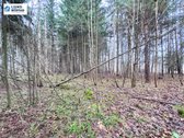 Parduodama sodyba su 10.5 ha sklypu, gražiame - nuotraukos Nr. 23