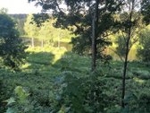 Parduodamas 322 A Sklypų Masyvas Vilniaus Raj - nuotraukos Nr. 4