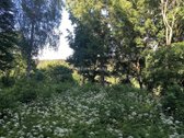 Parduodamas 322 A Sklypų Masyvas Vilniaus Raj - nuotraukos Nr. 6