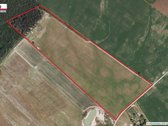 Parduodamas išskirtinio grožio 13,1588 ha - nuotraukos Nr. 34