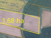 Parduodamas 1,68 ha Žemės Ūkio Paskirties Sklypas - nuotraukos Nr. 6
