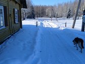 Parduodama sodyba miškų apsuptyje su 16,7397 - nuotraukos Nr. 19