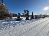 Parduodama sodyba Kubilių k., Kaišiadorių r., - nuotraukos Nr. 3