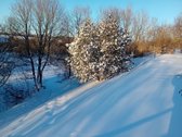 Parduodama sodyba ant Šušvės kranto, 6 km nuo - nuotraukos Nr. 16