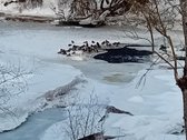 Parduodama sodyba ant Šušvės kranto, 6 km nuo - nuotraukos Nr. 17