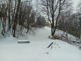 Parduodama sodyba ant Šušvės kranto, 6 km nuo - nuotraukos Nr. 18