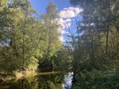 Parduodamas žemės ūkio paskirties sklypas