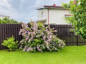 Vilniaus r. sav., Bendorių k. - nuotraukos Nr. 2