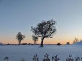 Parduodamas gyvenamasis namas su ežero - nuotraukos Nr. 17