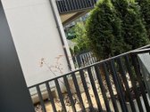 Nuomojamas Prabangus Butas pačiame Vilniaus - nuotraukos Nr. 19