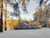 Įsivaizduokite vietą, kur prabanga susilieja - nuotraukos Nr. 6
