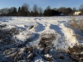 Parduodamas14 a. namų valdos sklypas - nuotraukos Nr. 3