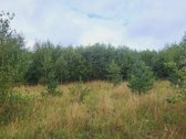 Parduodami žemės ūkio paskirties skypai - nuotraukos Nr. 2
