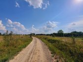 Parduodami žemės ūkio paskirties skypai - nuotraukos Nr. 3