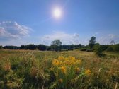 Parduodami žemės ūkio paskirties skypai - nuotraukos Nr. 4