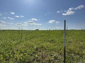 Parduodamas du namų valdos sklypai po 30 arų - nuotraukos Nr. 4