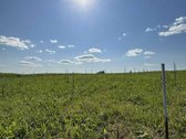 Parduodamas du namų valdos sklypai po 30 arų - nuotraukos Nr. 5